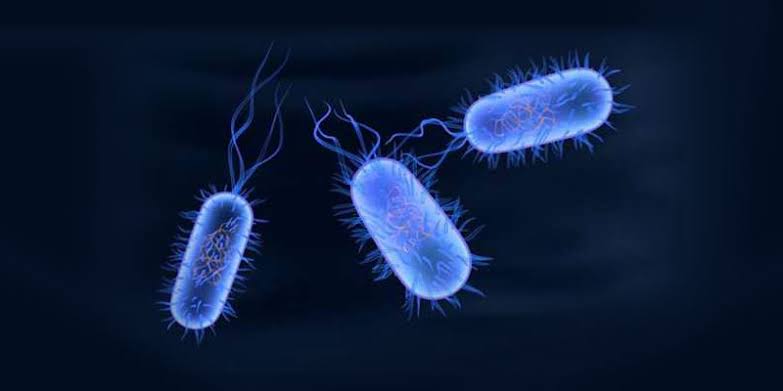 Typhoid Is Leading Monsoon Lab Positivity in 2026